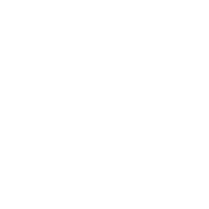Essence-knop-lijnwit2